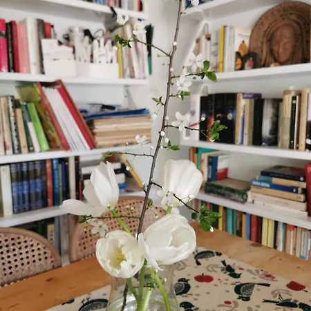 Serena Apartament